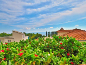 Apartments Zvone
